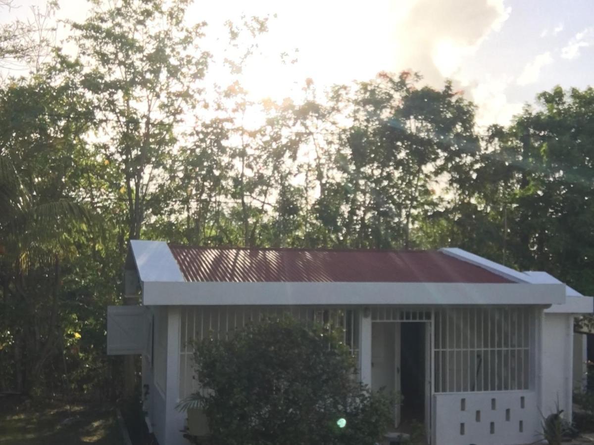 Le Belleplaine Villa Le Gosier  Eksteriør bilde